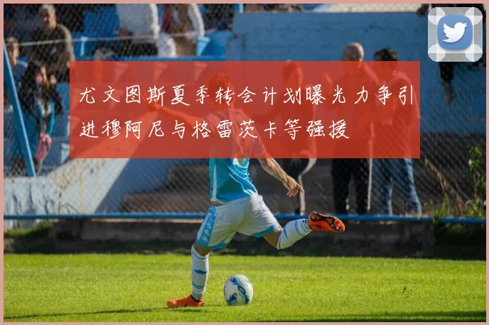 尤文图斯夏季转会计划曝光力争引进穆阿尼与格雷茨卡等强援
